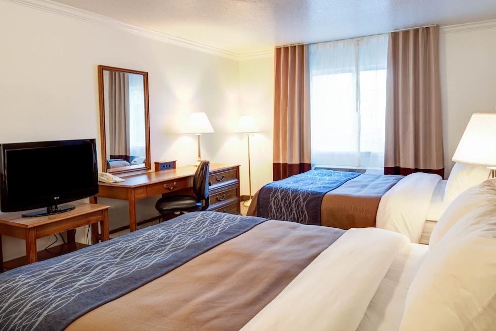 Best Western Paradise Hotel Bagian luar foto